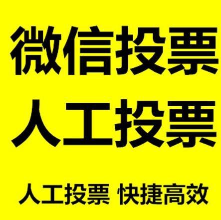 阿勒泰地区投票活动拉票能被查出来吗？如何操作能不被发现？